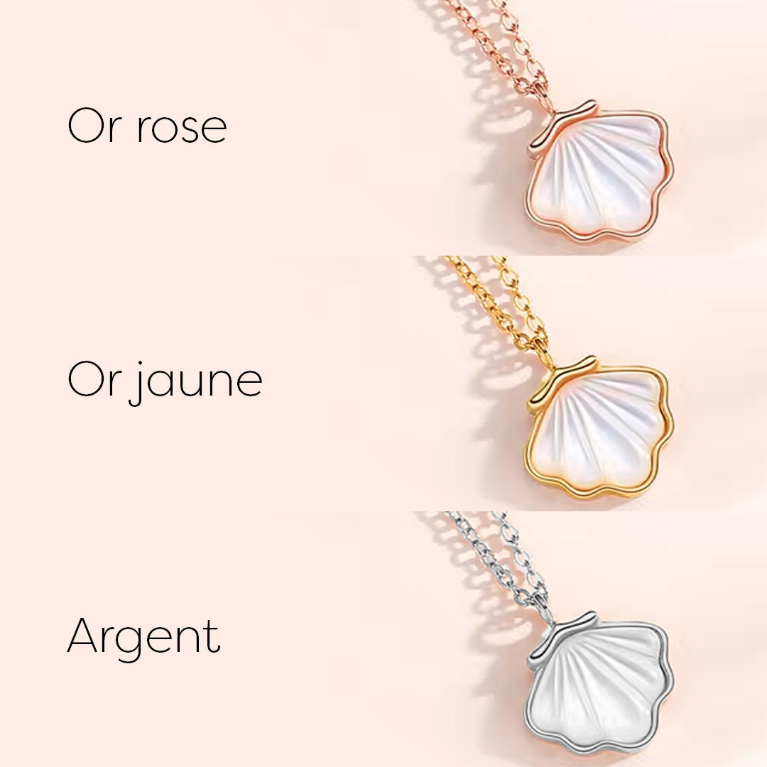 Coffret Rose Éternelle avec Collier Coquillage à reflet - Une rose blanche et un coquillage pour un véritable amour sempiternel